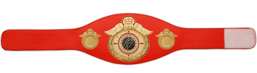 WRESTLING CHAMPIONSHIP BELT-PROWING/G/WRESTGEMG-6+ COLOURS